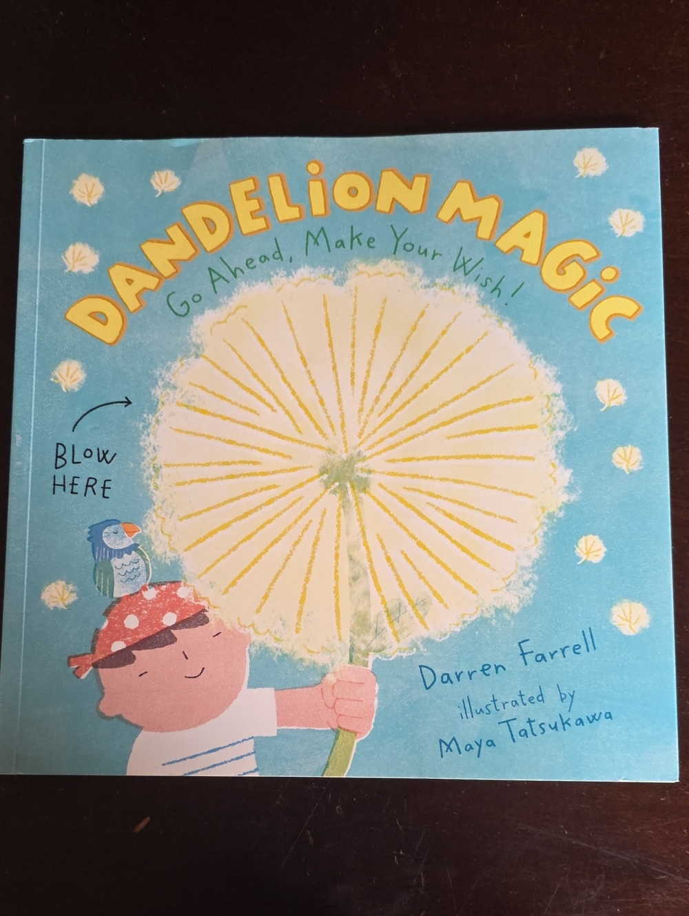 Dandelion Magic Kids Book